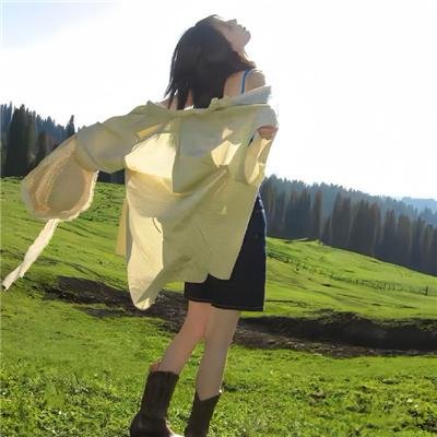 鹏程万里锦山河 海报